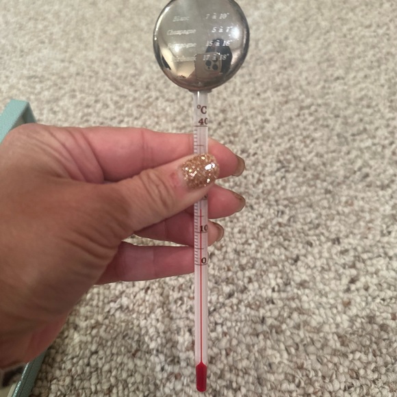 Ercuis saint Hilaire Paris Wine thermometer new in box - Picture 7 of 12
